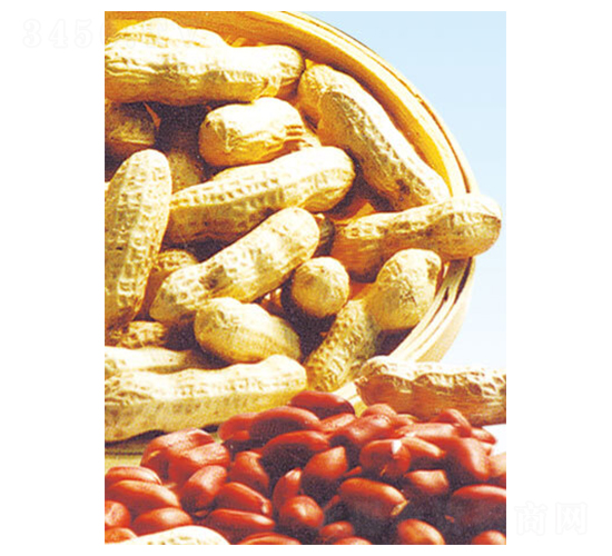 �����t-�����N��-���S�N�I(y��)