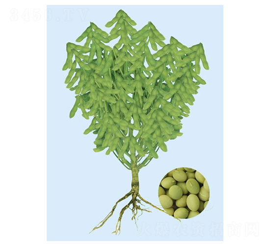 �|��һ̖(h��o)-ë���N��-���S�N�I(y��)