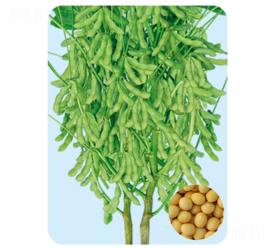 �|��38-�󶹷N��-���S�N�I(y��)