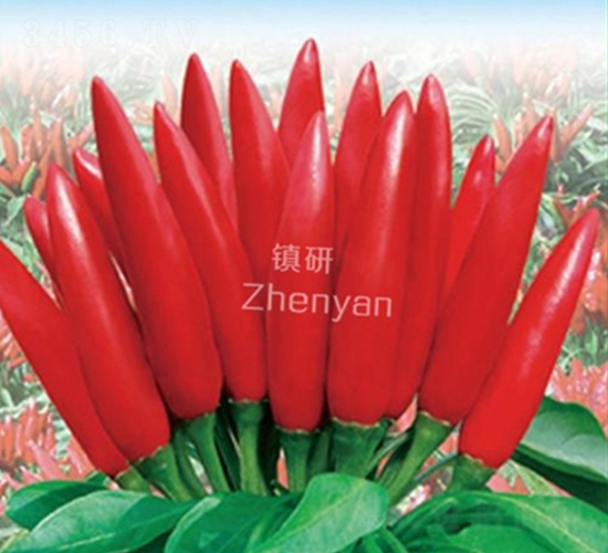 ����(qi��ng)8̖(h��o)-���콷�N��-�(zh��n)�зN�I(y��)