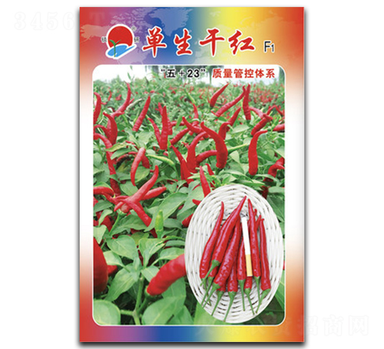 �����ɼt-���콷�N��-�(zh��n)�зN�I(y��)