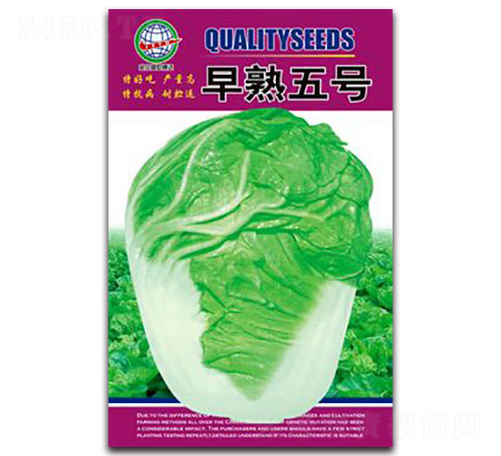 ������̖-�ײ˷N��-����