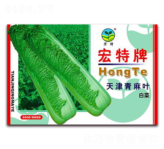 ��������~�ײ�-�ײ˷N��-����