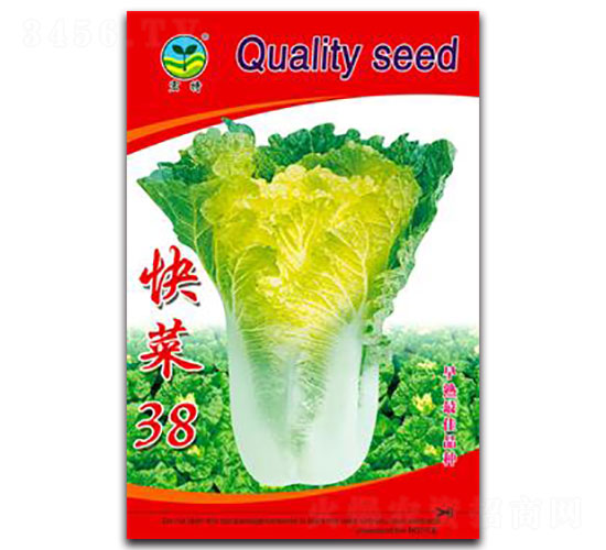 ���38-�ײ˷N��-����