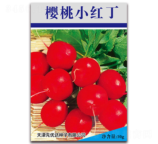 ����С�t��-���ѷN��-�ȃ�(y��u)�_(d��)