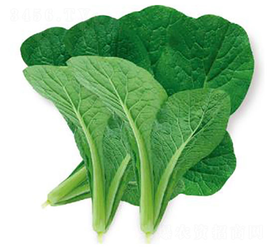 �ǹ�-С�ײ˷N��-�ȃ�(y��u)�_(d��)