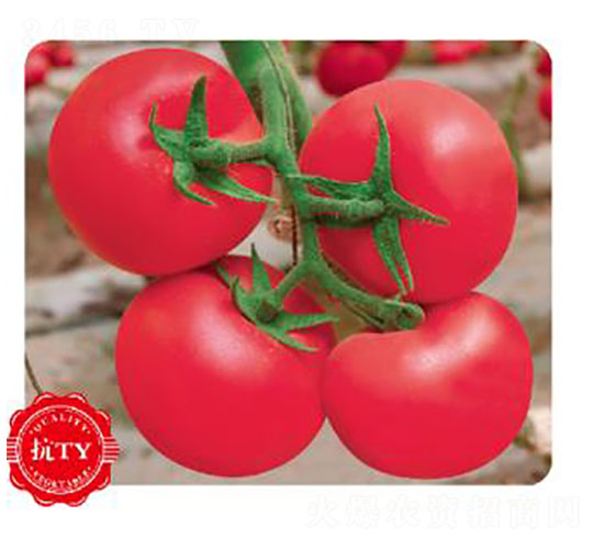 �ȃ�(y��u)207-���ѷN��-�ȃ�(y��u)�_(d��)