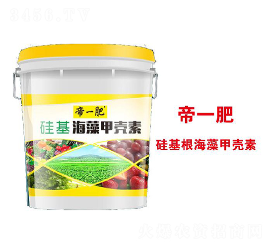 �������ך���-��һ��-�����