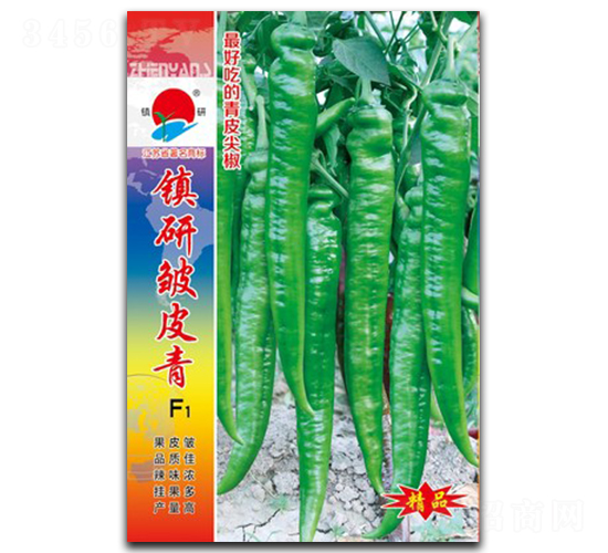 �(zh��n)�а�Ƥ��-�⽷�N��-�(zh��n)�зN�I(y��)