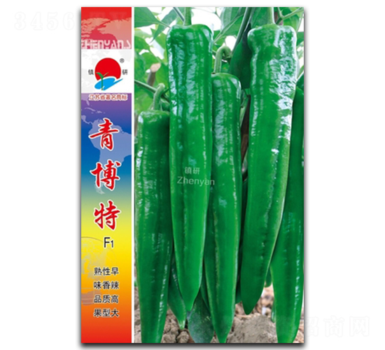 �಩��-�⽷�N��-�(zh��n)�зN�I(y��)