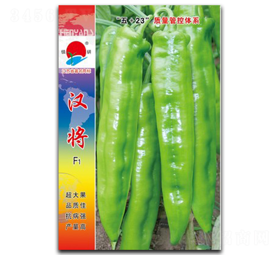 �h��-�⽷�N��-�(zh��n)�зN�I(y��)