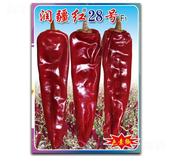 ��(r��n)���t28̖(h��o)-�����N��-�(zh��n)�зN�I(y��)