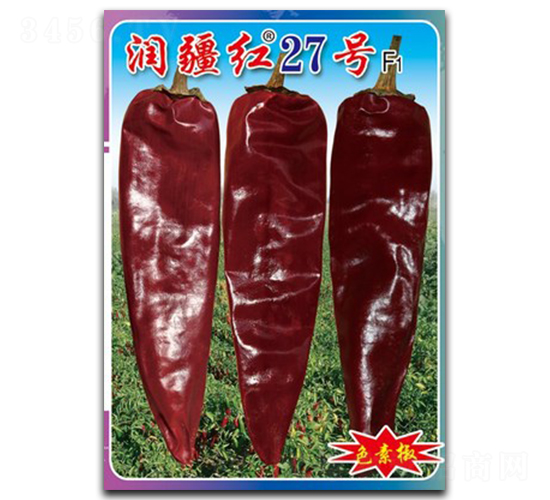 �����t27̖-�����N��-�(zh��n)�зN�I(y��)