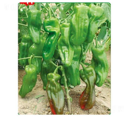 �K�����-�ݽ��N��-�(zh��n)�зN�I(y��)