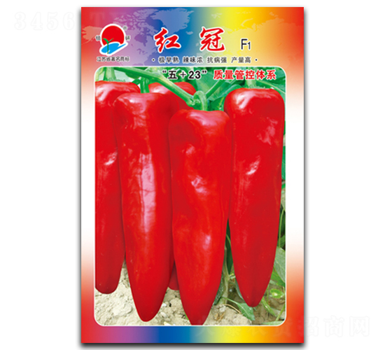 �t��-�ݽ��N��-�(zh��n)�зN�I(y��)