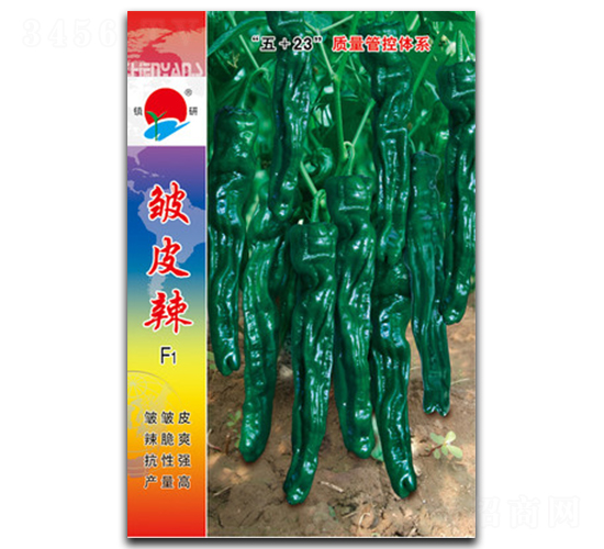 �(zh��n)�а�Ƥ��-�ݽ��N��-�(zh��n)�зN�I(y��)