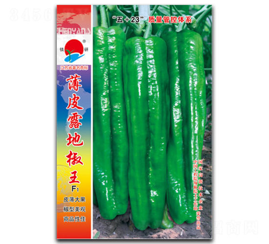 ��Ƥ¶�ؽ���-�ݽ��N��-�(zh��n)�зN�I(y��)