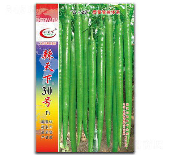 ������30̖-�����N��-�(zh��n)�зN�I(y��)