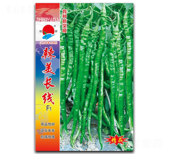 �����L��-�����N��-�(zh��n)�зN�I(y��)