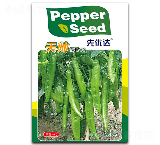 �쎛-�����N��-�ȃ�(y��u)�_(d��)