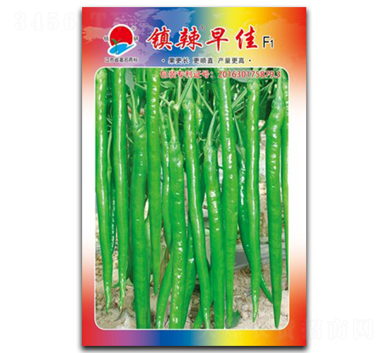 �(zh��n)�����-�����N��-�(zh��n)�зN�I(y��)