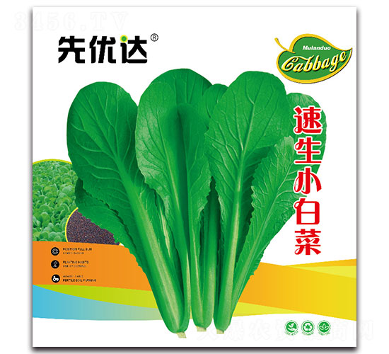 ����С�ײ�-�ײ˷N��-�ȃ�(y��u)�_