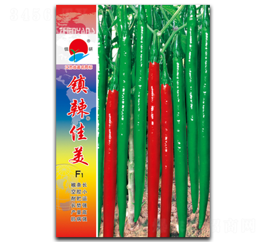 �(zh��n)������-�����N��-�(zh��n)�зN�I(y��)