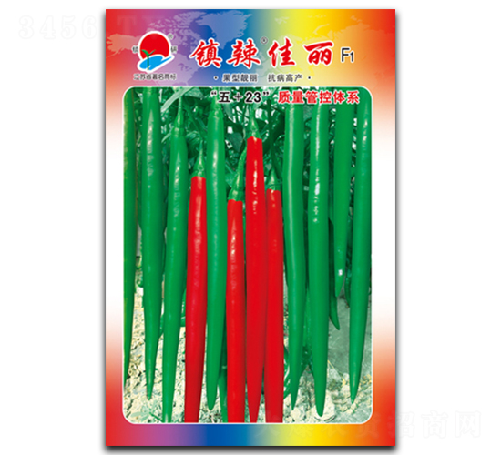 �(zh��n)������-�����N��-�(zh��n)�зN�I(y��)