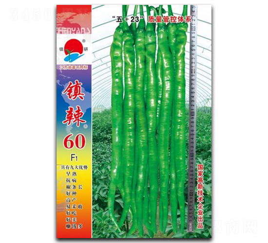 �(zh��n)��60-�����N��-�(zh��n)�зN�I(y��)