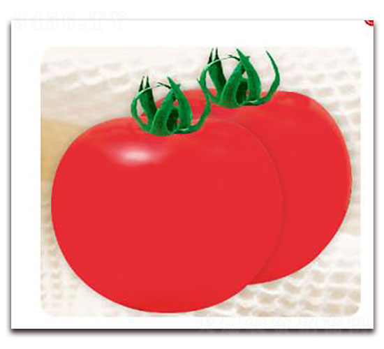 �I(l��ng)��JF-10-���ѷN��-�ȃ�(y��u)�_(d��)