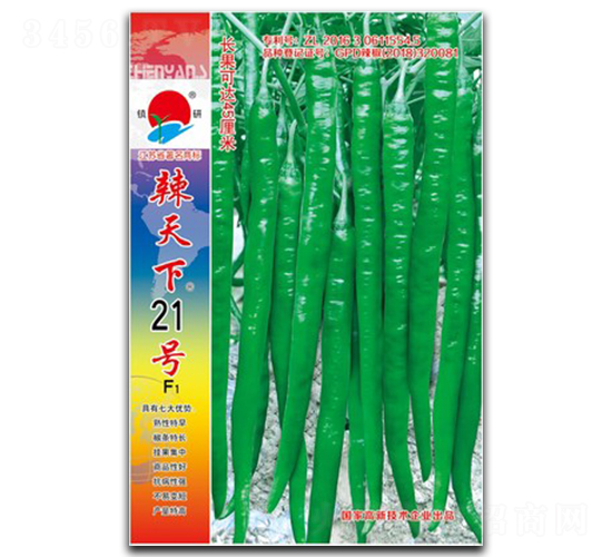 ������21̖-�����N��-�(zh��n)�зN�I(y��)