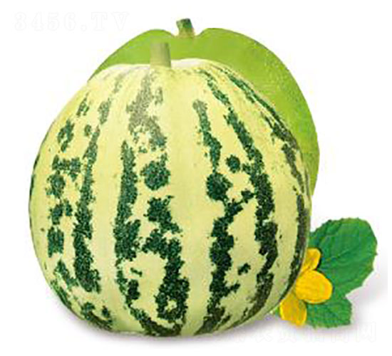 ��(y��u)����-��ϷN��-�ȃ�(y��u)�_