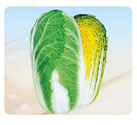 ����1̖-�ײ˷N��-�ȃ�(y��u)�_