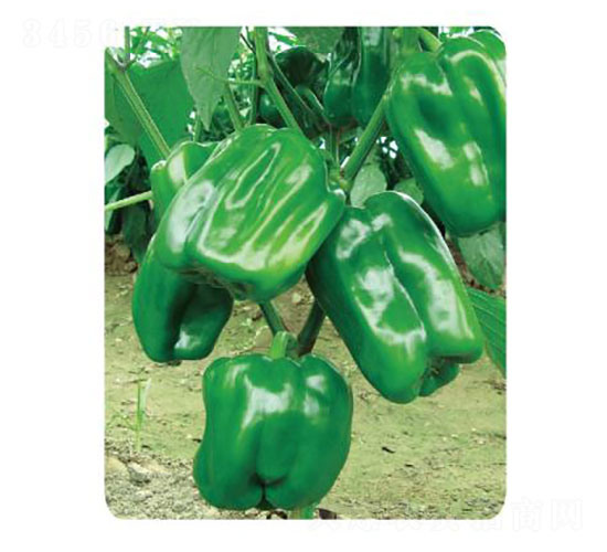 ���-�����N��-�ȃ�(y��u)�_(d��)