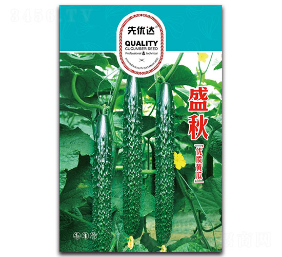 ʢ��-�S�ϷN��-�ȃ�(y��u)�_(d��)