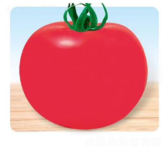 �䌚-���ѷN��-�ȃ�(y��u)�_(d��)