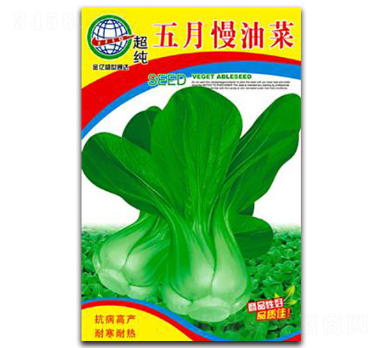 �������Ͳ�-�๣�˷N��-����