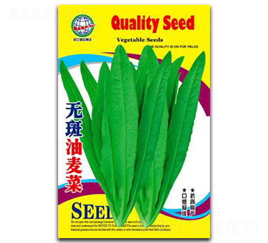 �o��������-�����˷N��-����