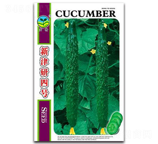 �½�����̖-�S�ϷN��-����