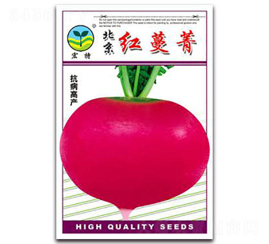 �t��ݼ-�}���N��-����