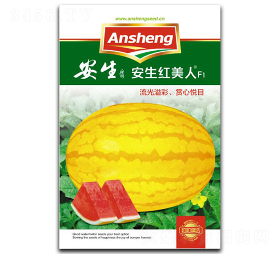 �����t����-���ϷN��-����