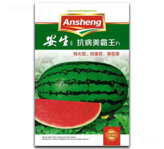 ����������-���ϷN��-����