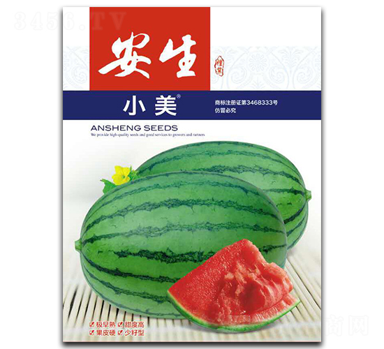 С��-���ϷN��-����