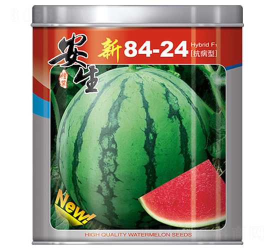 ��8424-���ϷN��-����