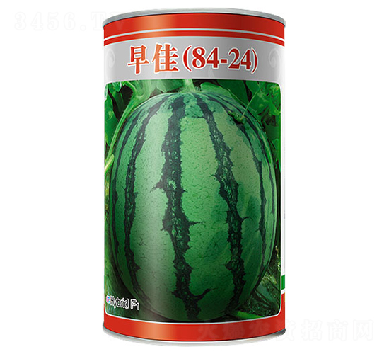 ���84-24-���ϷN��-����