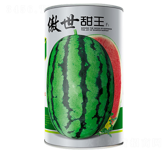 ��������-���ϷN��-����