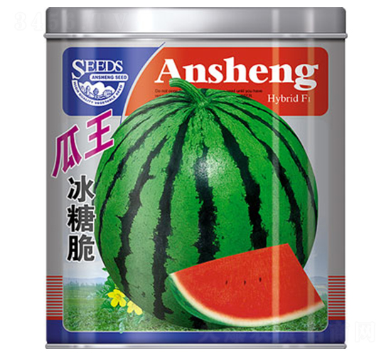 �������Ǵ�-���ϷN��-����