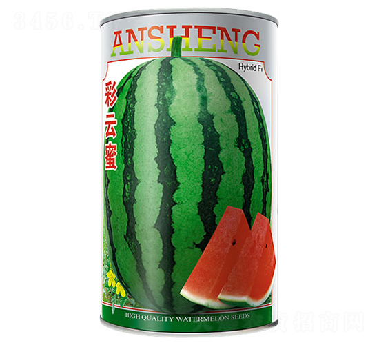 ������-���ϷN��-����