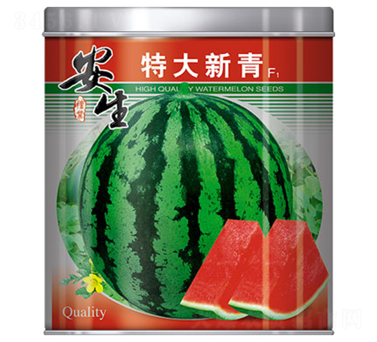 �ش�����-���ϷN��-����