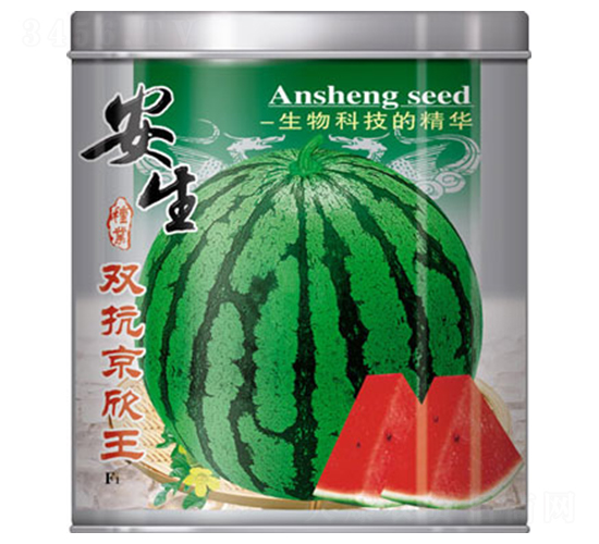 �p��������-���ϷN��-����